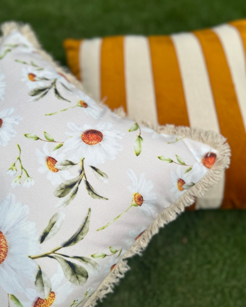 Meadow Daisy Cushion Cover